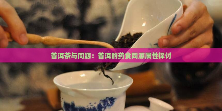 普洱茶属于药食同源吗吗