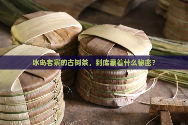 冰岛老寨古树普洱茶
