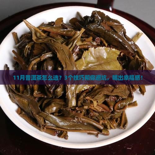 11月份的普洱茶