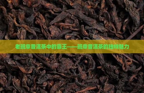 遇见老班章普洱茶