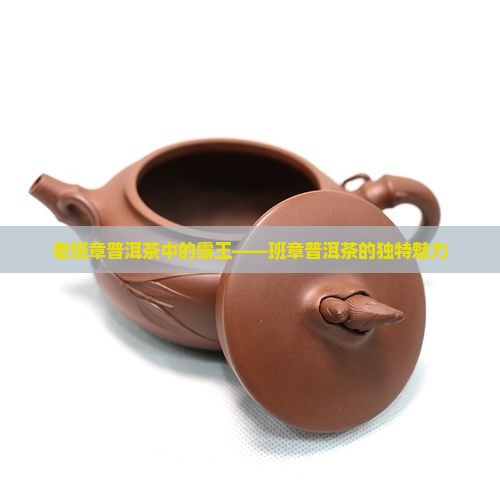 遇见老班章普洱茶