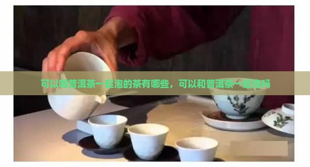 可以喝普洱茶一起泡的