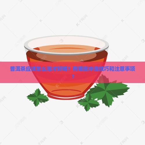 普洱茶的泡法及冲泡技巧