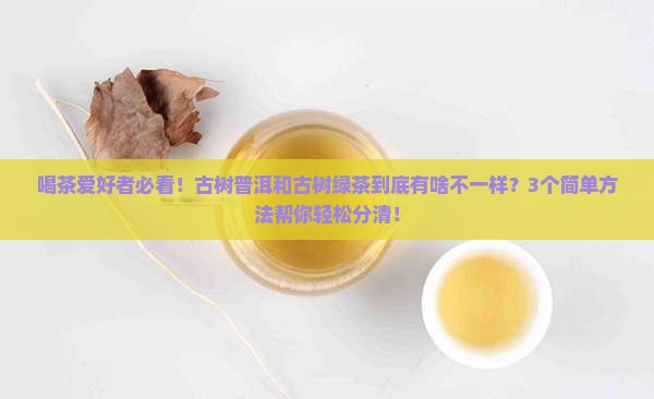 古树普洱茶与古树绿茶区别