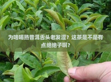 喝熟普洱茶舌头涩