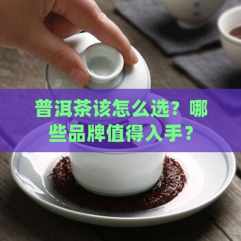 普洱茶购买藏什么品牌好一些