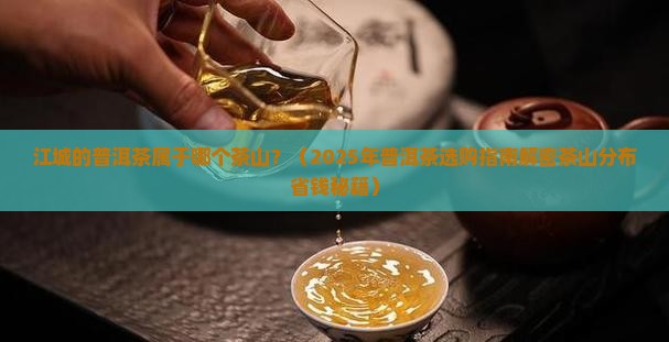 江城的普洱茶属于哪个茶山 江城的普洱茶属于哪个茶山