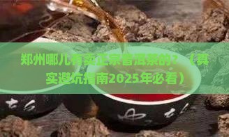 郑州哪里有正宗的普洱茶