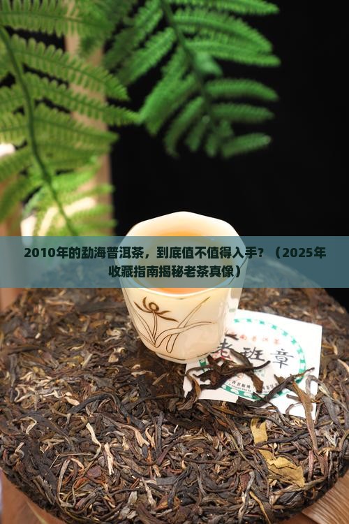 2010勐海普洱茶