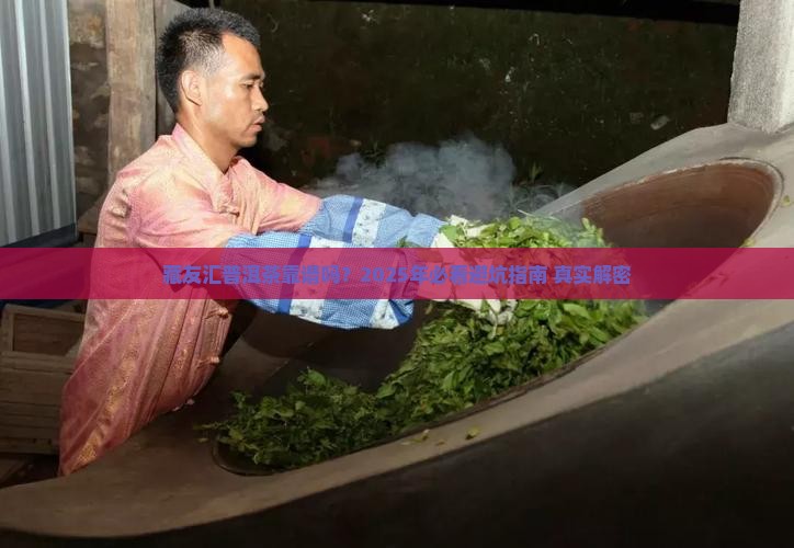 藏友汇普洱茶靠谱吗