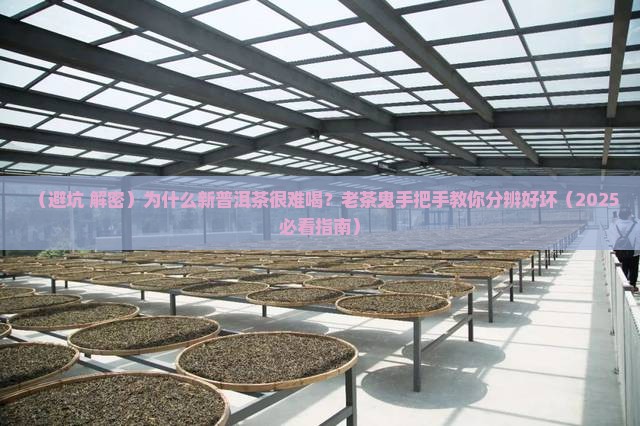 新普洱茶很难喝