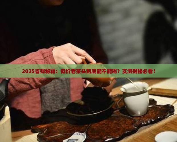 价格低廉的老茶头能喝吗