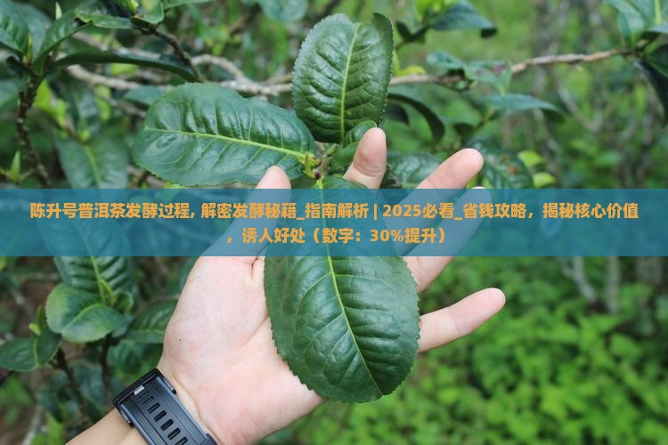 陈升号普洱茶发酵过程