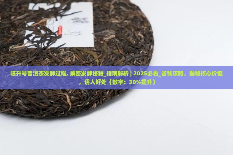 陈升号普洱茶发酵过程