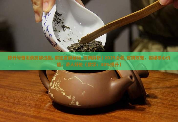 陈升号普洱茶发酵过程
