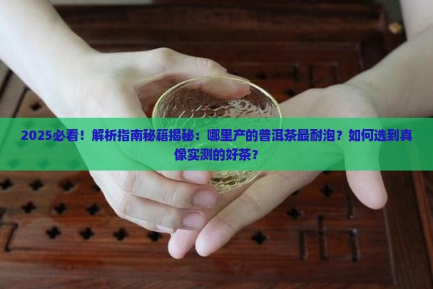 哪里产的普洱茶最耐泡