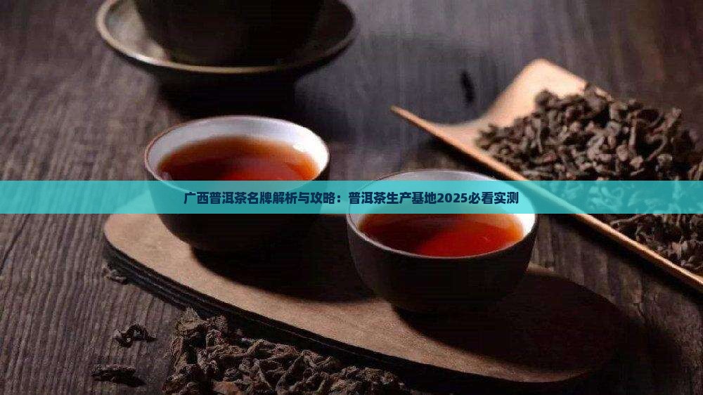 南宁普洱茶生产基地