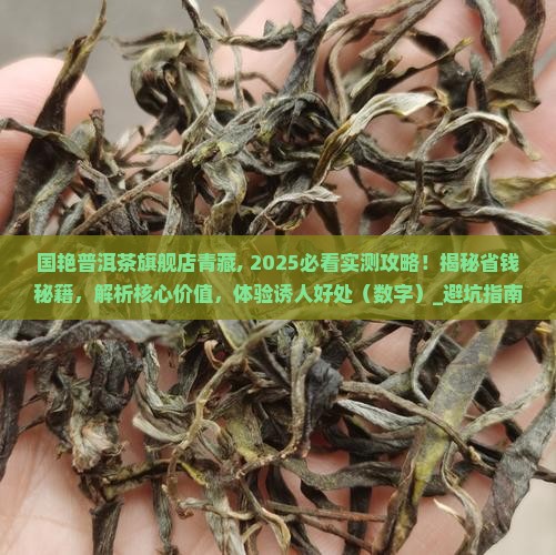 国艳普洱茶旗舰店青藏