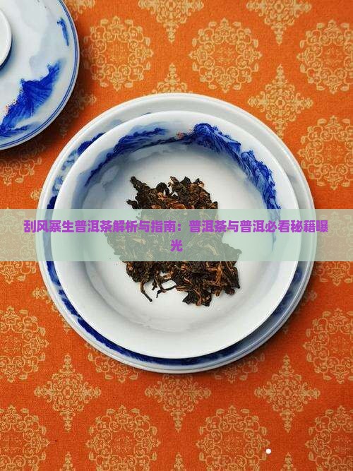 刮风寨生普洱茶