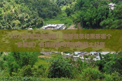 喝普洱茶和黑茶哪个好