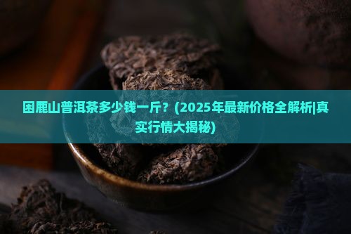困鹿山普洱茶多少钱一斤