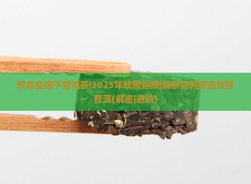 双龙金弹子普洱茶