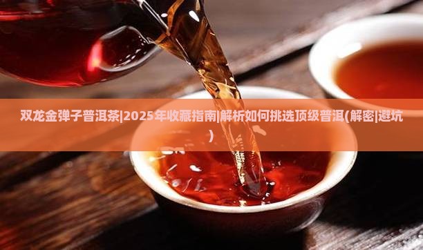 双龙金弹子普洱茶