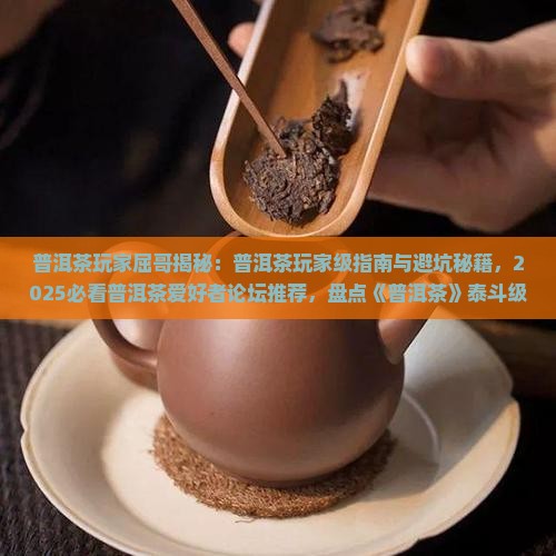 普洱茶玩家屈哥