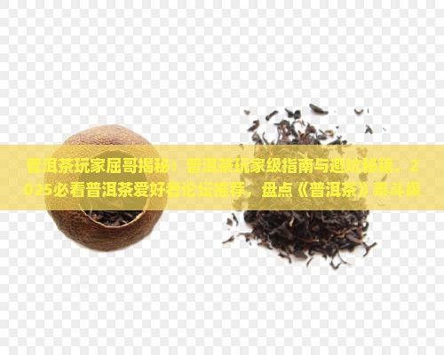 普洱茶玩家屈哥
