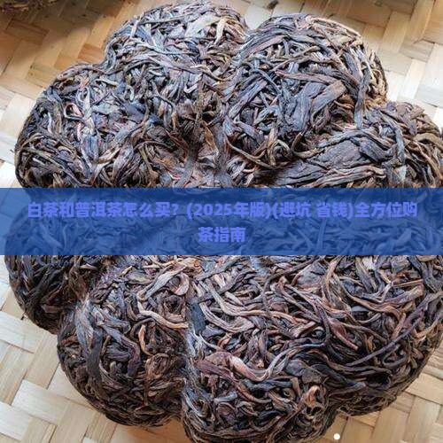 白茶和普洱茶购买藏价值