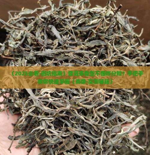 普洱茶怎么分辨香型的