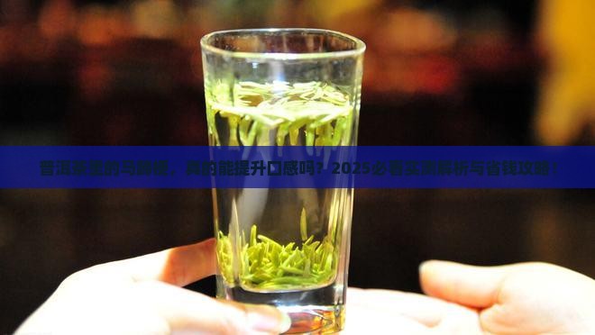 普洱茶里的马蹄梗好不