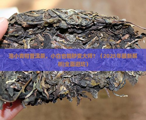 泡小青柑普洱茶