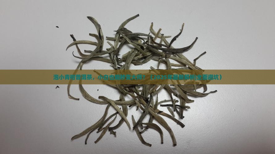 泡小青柑普洱茶