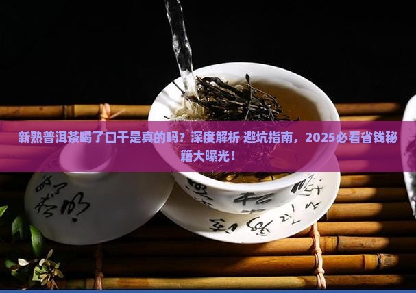 新熟普洱茶喝了口干