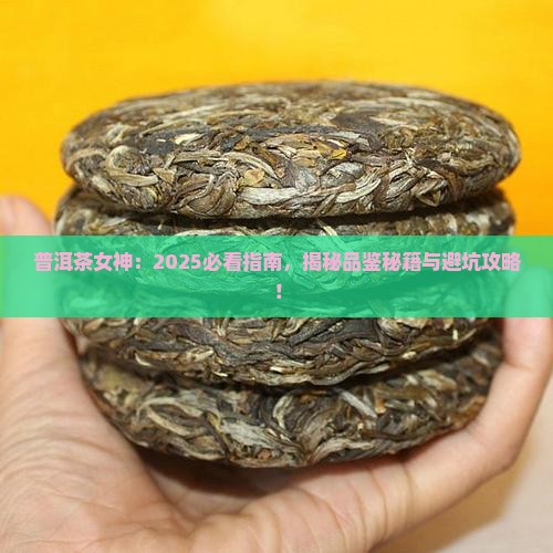 普洱茶女士和好吗