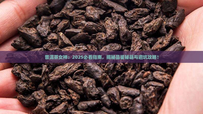 普洱茶女士和好吗