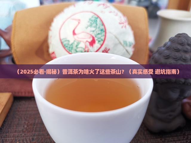 普洱茶流行茶山吗是什么