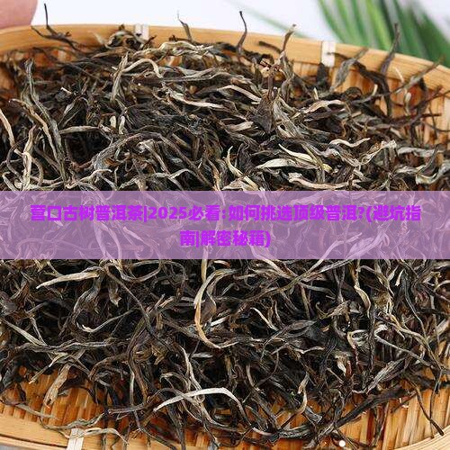营口古树普洱茶