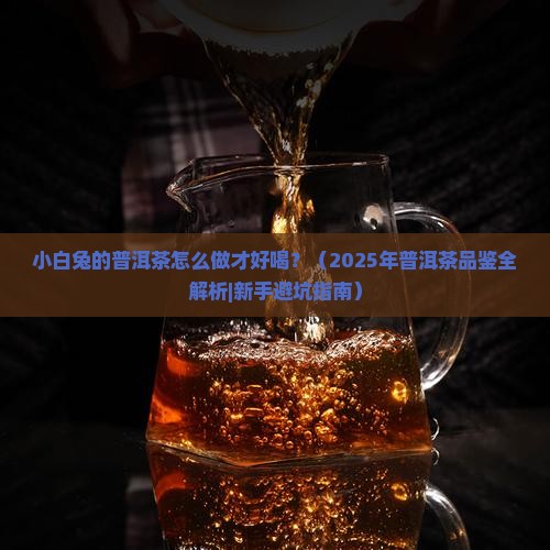 小白兔的普洱茶怎么做才好喝