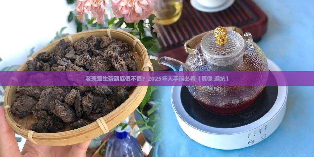 老班章生茶怎么样