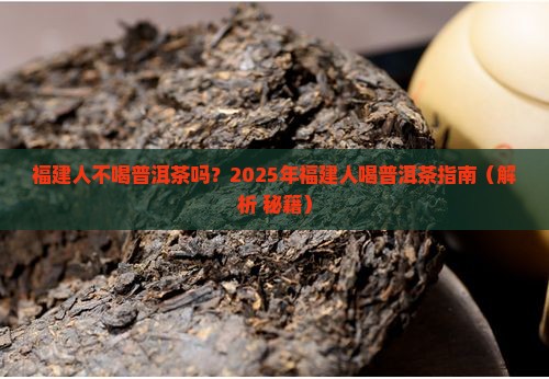 福建人不喝普洱茶吗