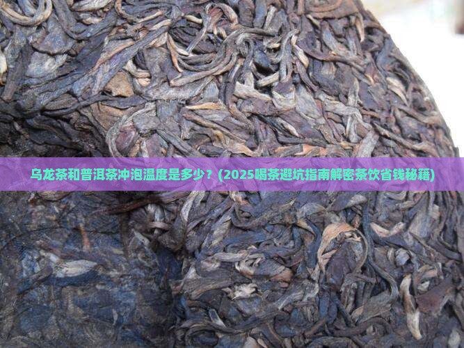 乌龙茶普洱茶冲泡温度多少