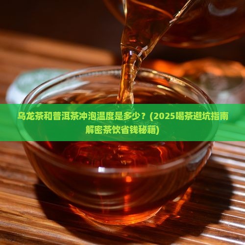 乌龙茶普洱茶冲泡温度多少