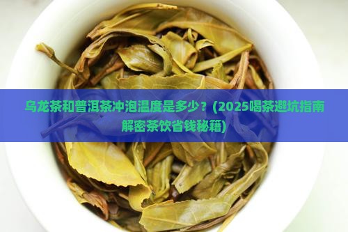 乌龙茶普洱茶冲泡温度多少