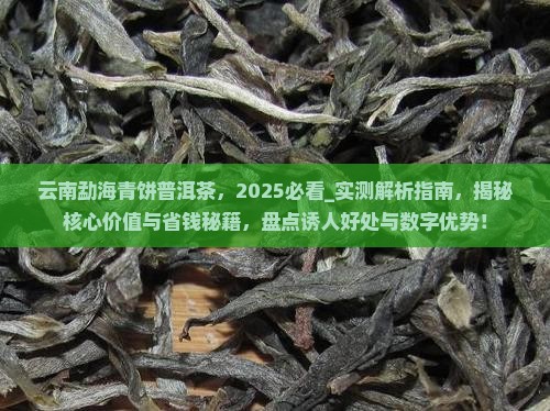 云南勐海青饼普洱茶