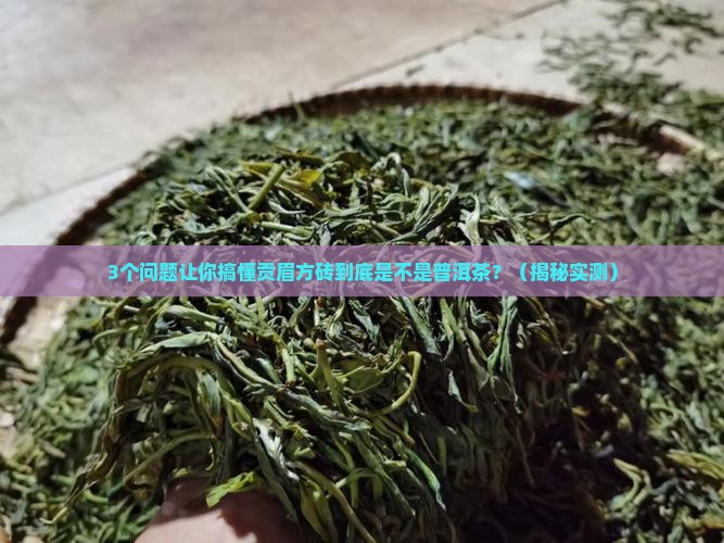 贡眉方砖是普洱茶吗