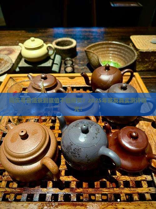 同庆号普洱茶好不好