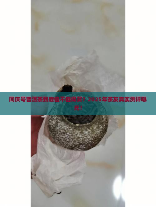 同庆号普洱茶好不好