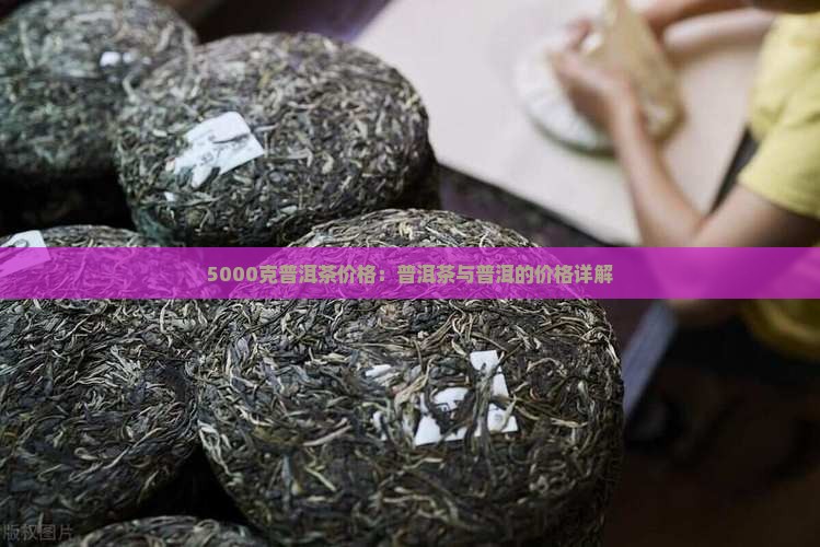 5000克普洱茶价格
